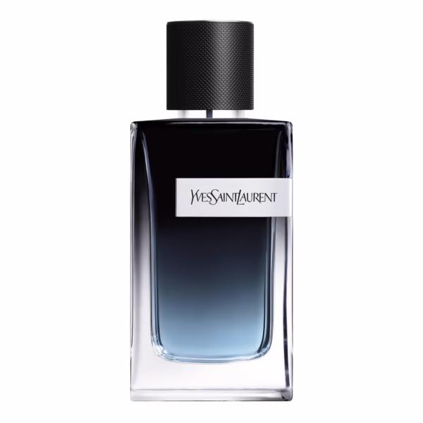 YSL Y 100 ml