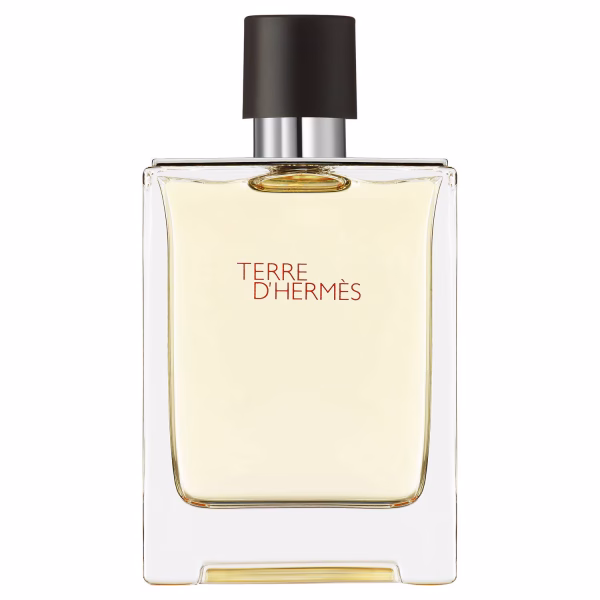 Terre d’Hermès EDT 100 ml