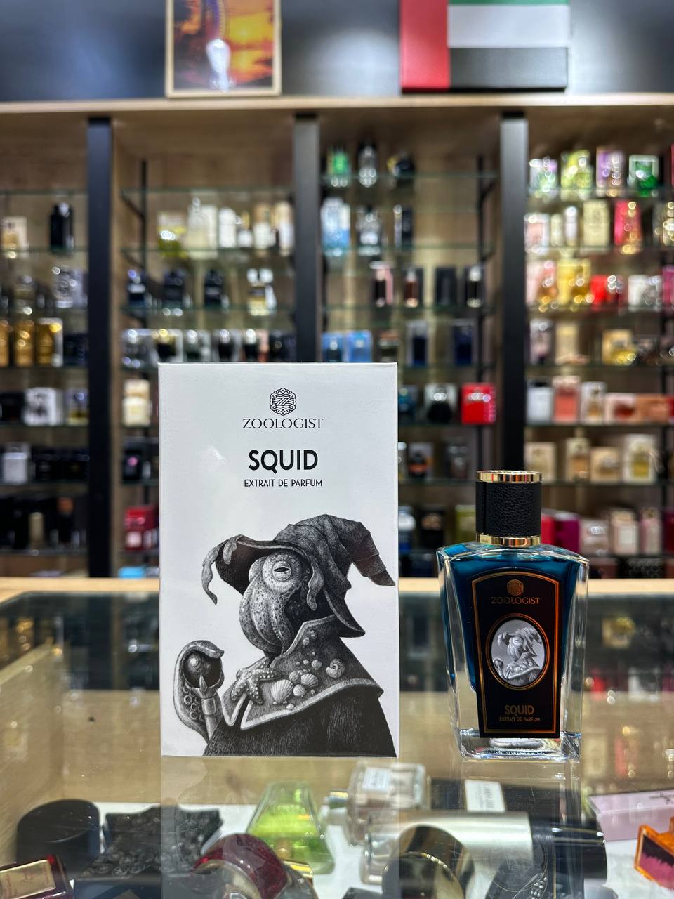 zoologist-squid Zoologist Squid - Görsel 1